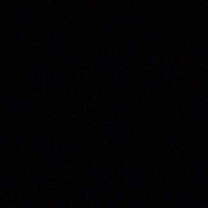 Meet your Posher, Lili